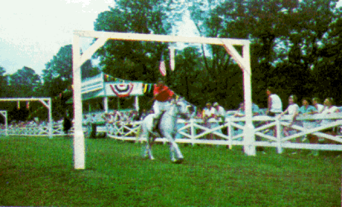 [color photograph of a horseback rider jousting]